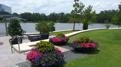 Landscaping Photo