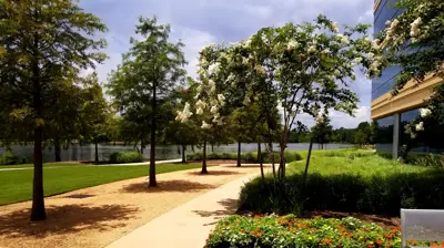 Landscaping Photo