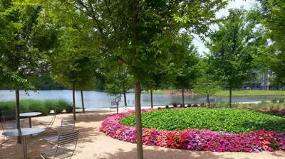 Landscaping Photo